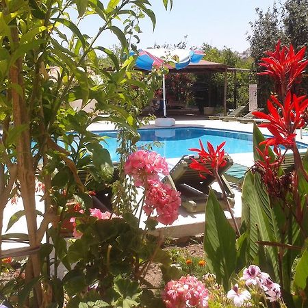 Paradise Garden Gumusluk Evleri Aparthotel Εξωτερικό φωτογραφία