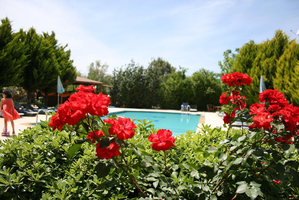 Paradise Garden Gumusluk Evleri Aparthotel Εξωτερικό φωτογραφία