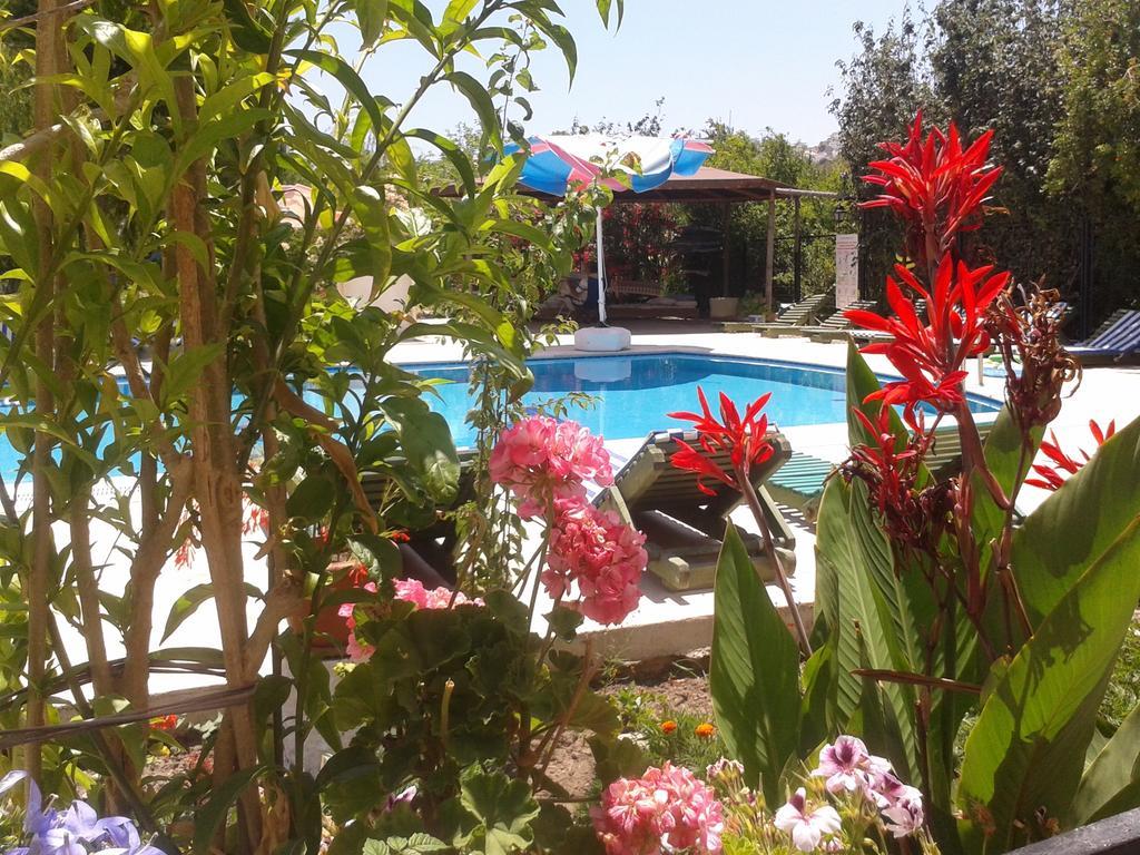 Paradise Garden Gumusluk Evleri Aparthotel Εξωτερικό φωτογραφία