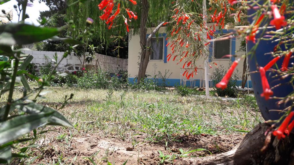 Paradise Garden Gumusluk Evleri Aparthotel Εξωτερικό φωτογραφία